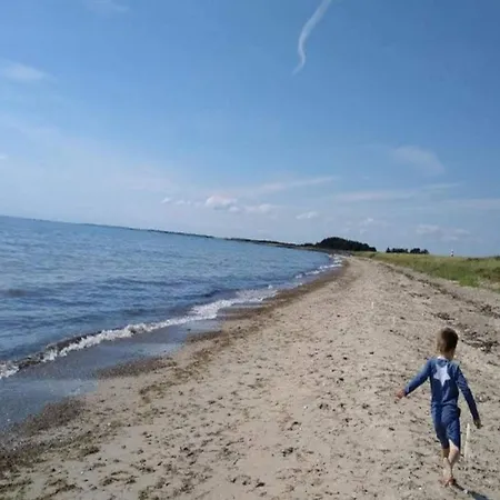 Vakantiehuis 8 Person In Rodby-by Traum Rødby