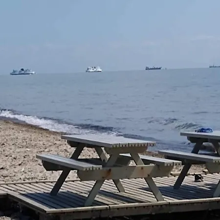 8 Person In Rodby-by Traum *