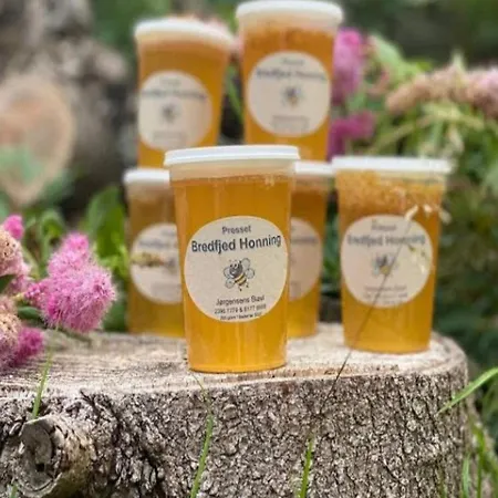 Vakantiehuis 8 Person In Rodby-by Traum