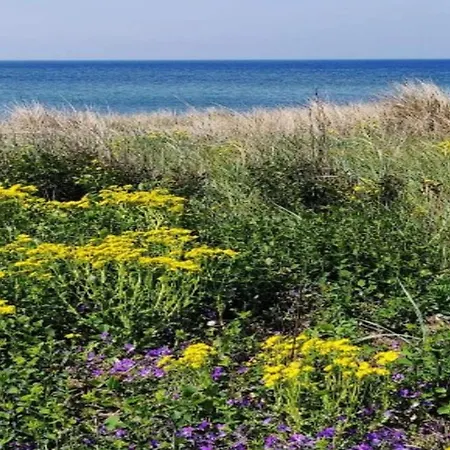 8 Person In Rodby-by Traum