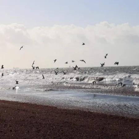 8 Person In Rodby-by Traum * Rødby