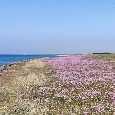 Vakantiehuis 8 Person In Rodby-by Traum