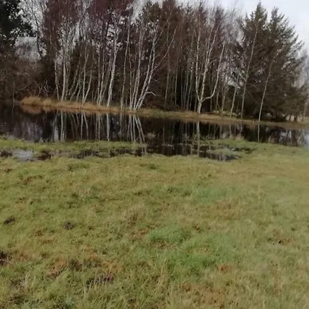 Vakantiehuis 8 Person In Rodby-by Traum *