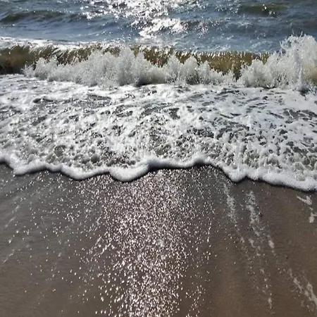 8 Person In Rodby-by Traum Rødby